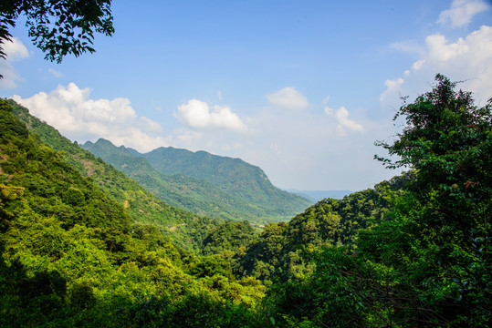 陽光綠野青山