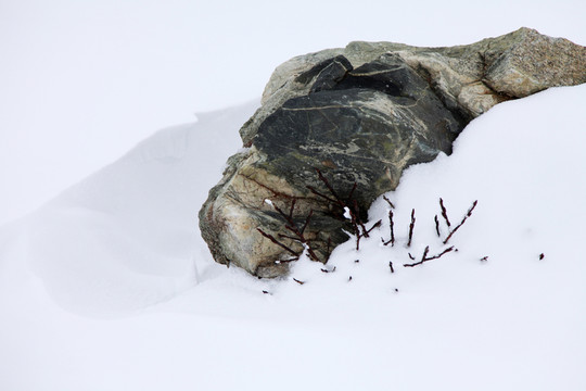 雪
