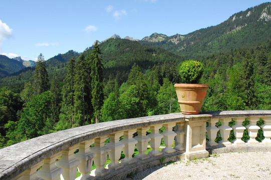 全景