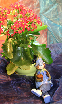 櫻花
