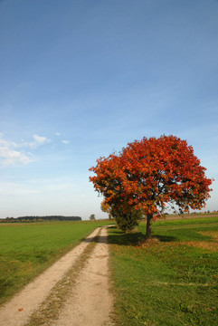 在herbst2