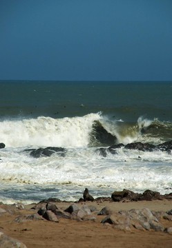 小羅伯大浪