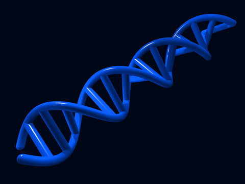 DNA III