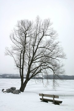 沉默