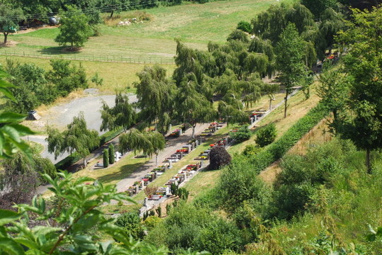 墓地