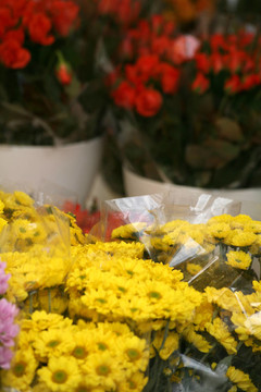 花店