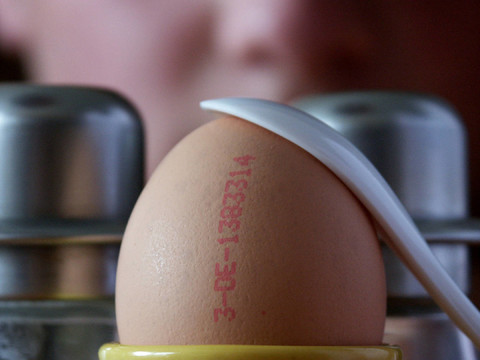FRüHSTücksei