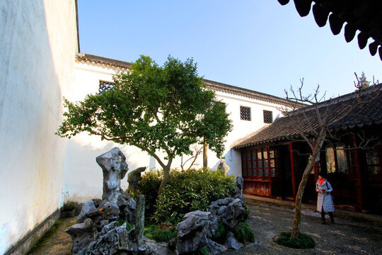 蘇州 獅子林 園林 園藝