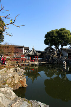 蘇州 獅子林 園林