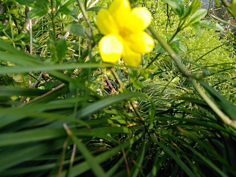 杭州西湖