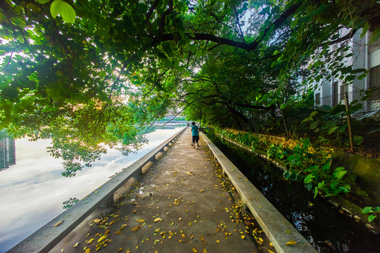 惠州西湖鐵陵橋