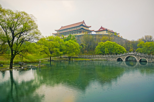 雨中公園