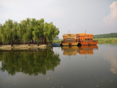 紅荷濕地游船