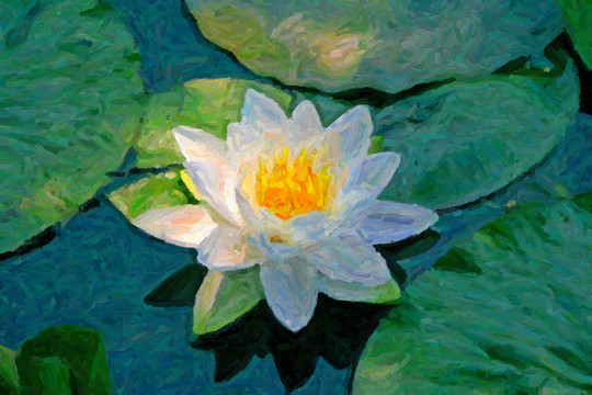 植物油畫