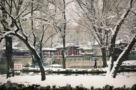 風(fēng)景畫(huà) 雪景公園樹(shù)