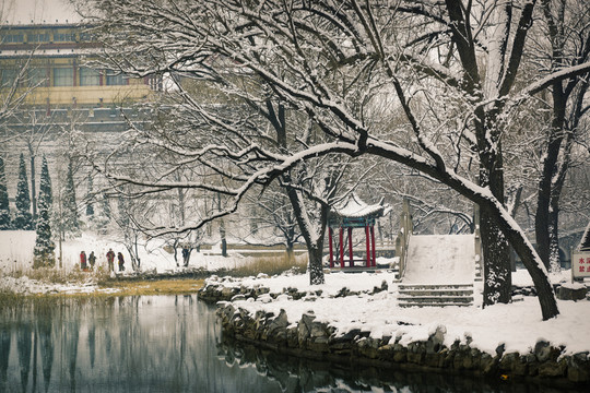 風(fēng)景畫 雪景公園