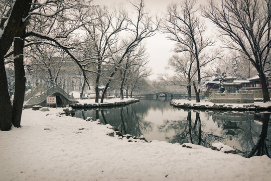 風(fēng)景畫 雪景樹林