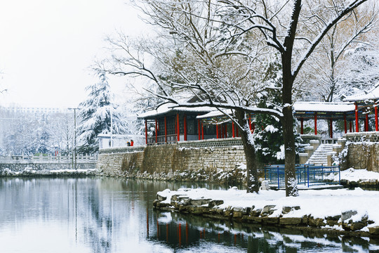 風(fēng)景畫 公園雪景