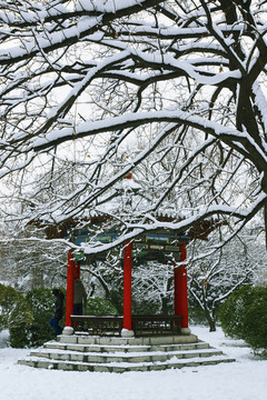 樹枝亭子雪
