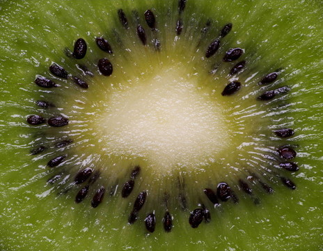 kiwikerne