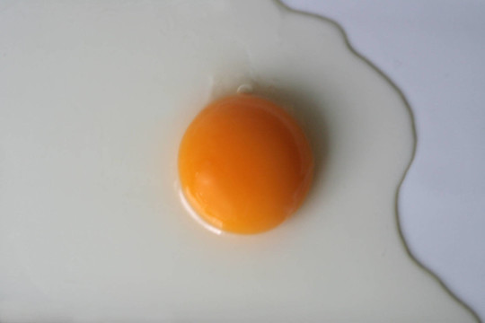食品
