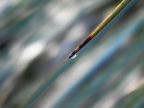 水滴