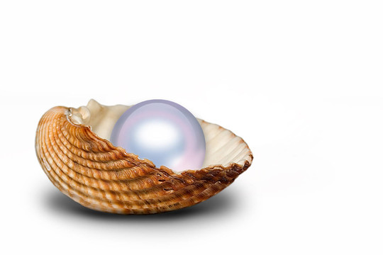 珍珠