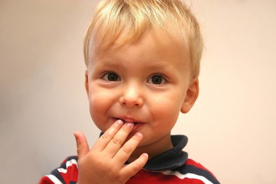 bussi 01
