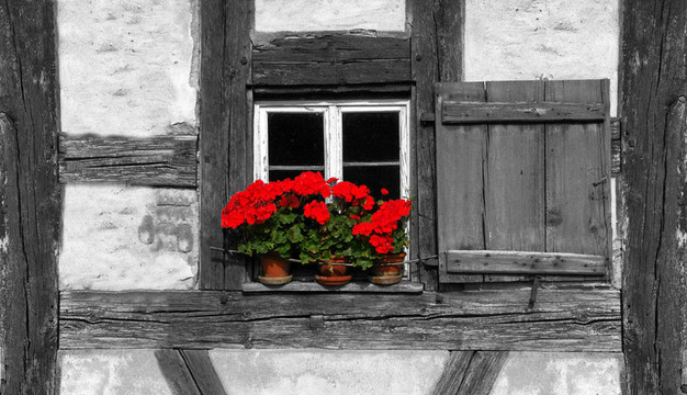 blumenfenster