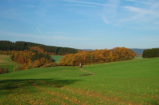 herbstlandschaft