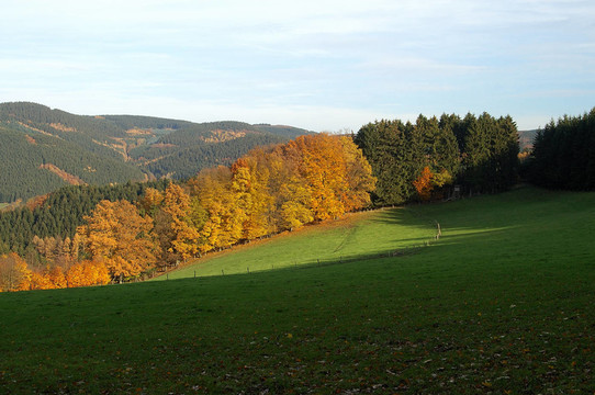 herbstlandschaft藻厄蘭