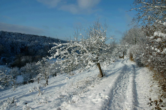 winterspaziergang