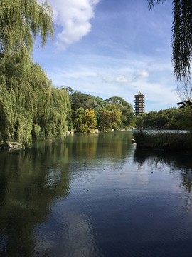 北大 未名湖
