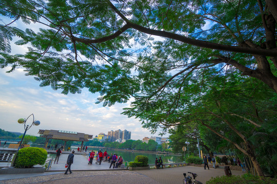 惠州南門公園