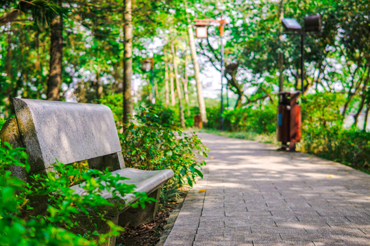 惠州西湖風(fēng)景區(qū)的小路