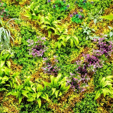 綠色植物墻