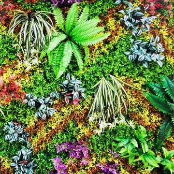 綠植墻