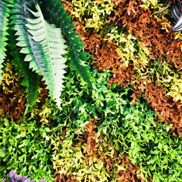 綠植墻