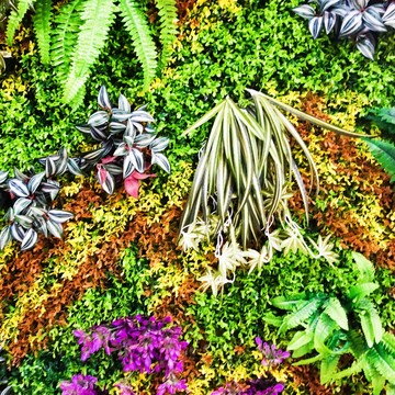 綠植墻