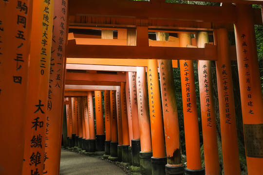 千本鳥居