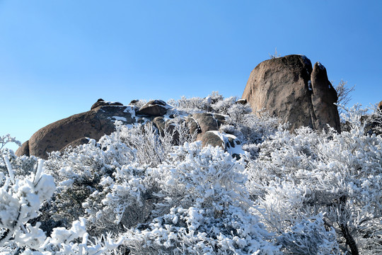 青島嶗山霧凇