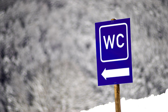 雪中的WC