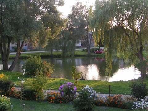 dorfteich
