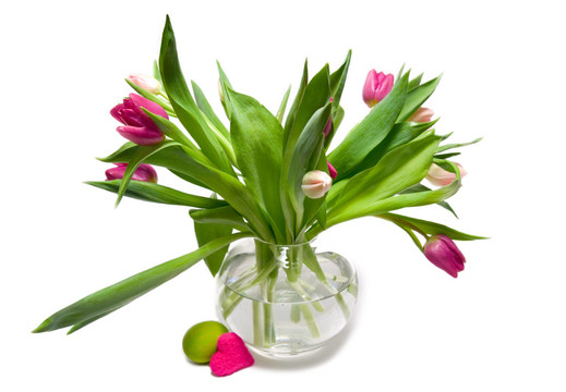 tulpenstrauss