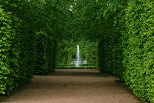 公園