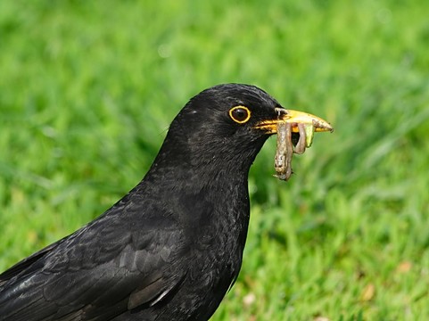 餐…