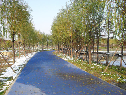 公園道路景觀圖片素材