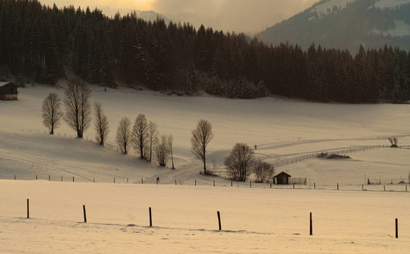 abendlich（T）