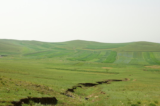 高原農(nóng)田