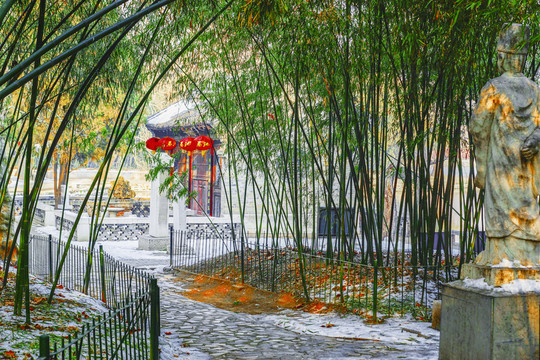 竹林小路